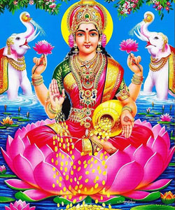 Lakshmi Maa